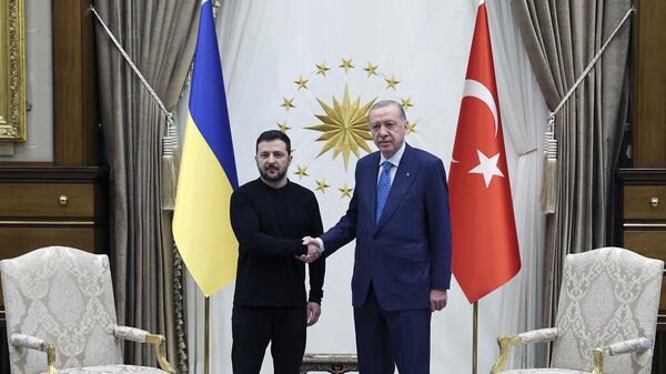 Президент Турции Реджеп Тайип Эрдоган пожимает руку Владимиру Зеленскому во время их встречи в президентском дворце в Анкаре