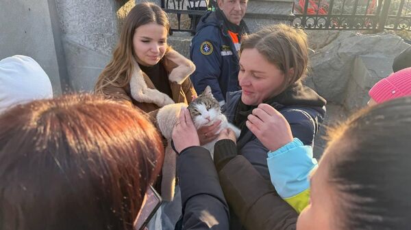 Спасение кошки Муси