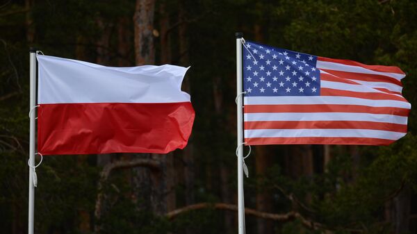 Флаги Польши и США
