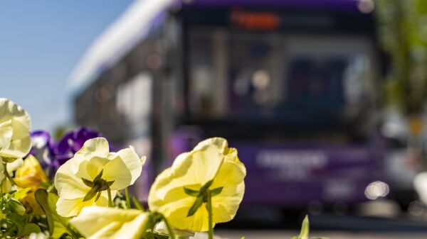 Общественный транспорт