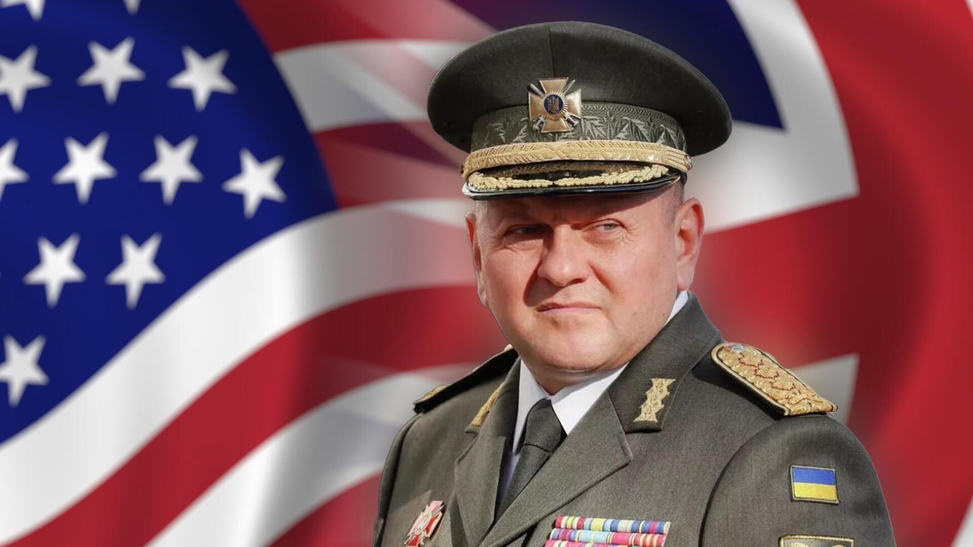 Экс-главком ВСУ Валерий Залужный Экс-главком ВСУ Валерий Залужный - РИА Новости, 1920, 08.04.2025