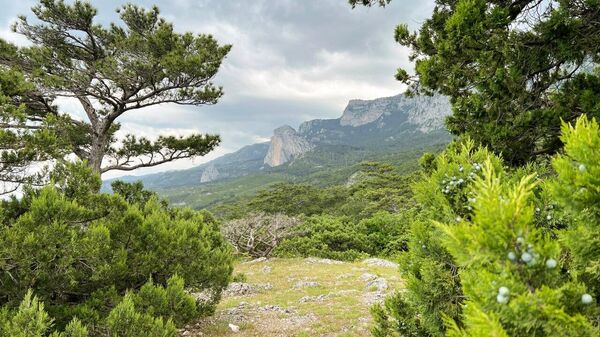 Заповедники Крыма