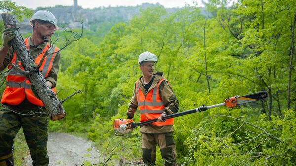 Севастополь усиливает защиту лесов от пожаров 