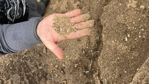 Утилизация биологическим методом нефтесодержащих отходов Утилизация биологическим методом нефтесодержащих отходов