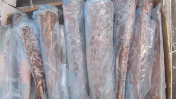 Более 5 тонн рыбной продукции без документов нашли в Севастополе