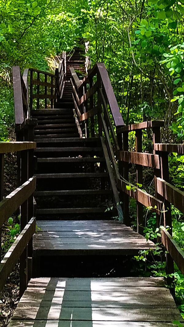 Алимова Балка в Крыму Алимова Балка в Крыму