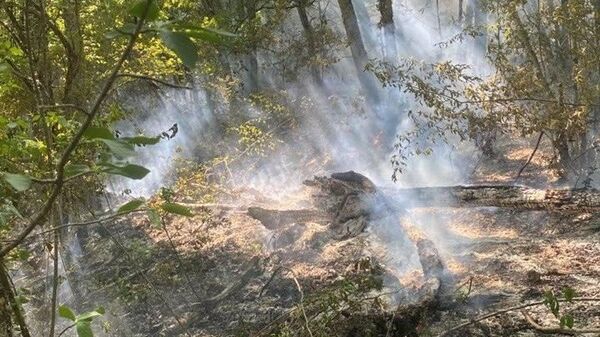 Лесной пожар в районе горы Бурун-Кая в Крыму
