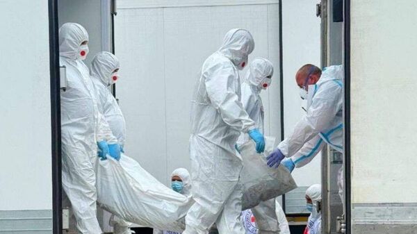 Россия передала Украине 1212 тел солдат ВСУ Россия передала Украине 1212 тел солдат ВСУ