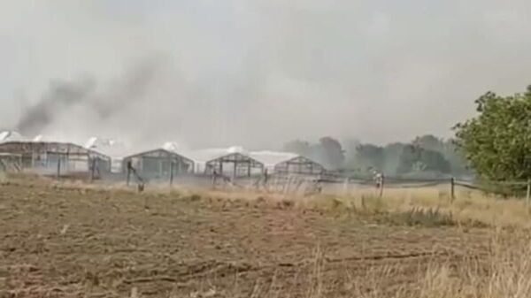 Теплицы и посевы горят в Херсонской области из-за ударов ВСУ