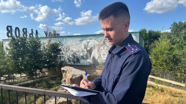 Следователь работает в парке львов Тайган после нападения льва на Олега Зубкова