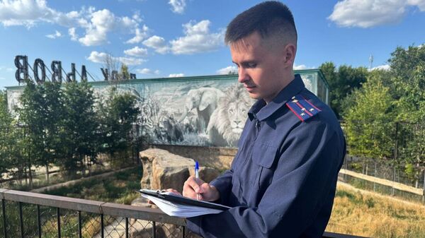 Следователь работает в парке львов Тайган после нападения льва на Олега Зубкова