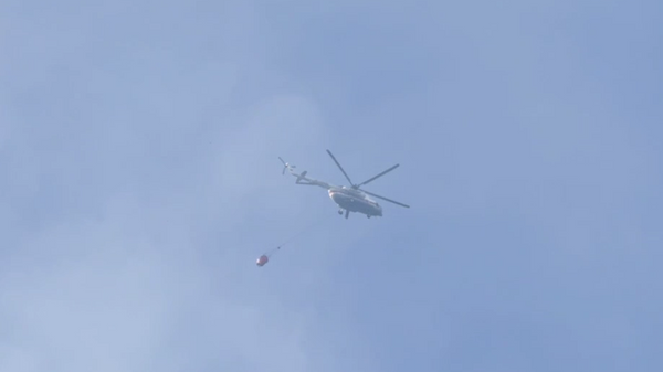 Видео с места ландшафтного пожара на горе Кастель под Алуштой