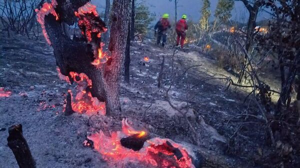 Кадры с места ликвидации пожара на горе Кастель под Алуштой