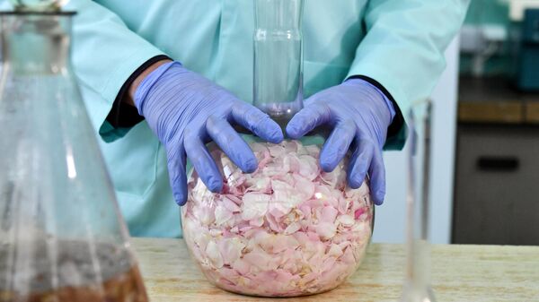 Крымские производители выходят на новые зарубежные рынки с вином и косметикой - Ксения Слуцкая