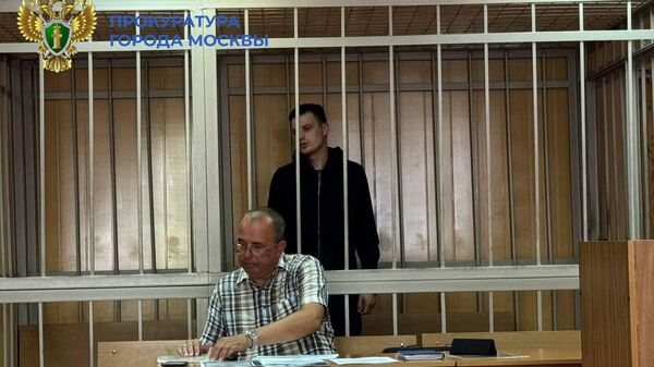 В Москве арестовали сбившего пять человек на переходе водителя