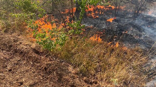 Пожар в Симферопольском районе Крыма