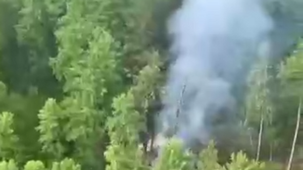 Крушение пассажирского самолета Ан-24 в Амурской области