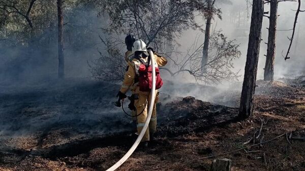 Лесной пожар