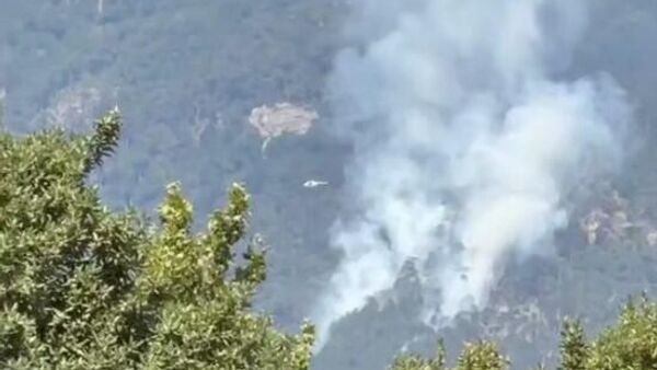 Пожар в заповеднике над Ялтой