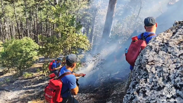 Пожар в Ялтинском горно-лесном заповеднике в Крыму