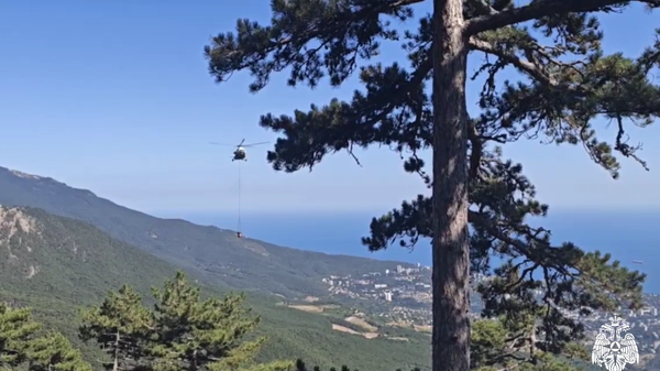 Пожар в Ялтинском заповеднике локализовали