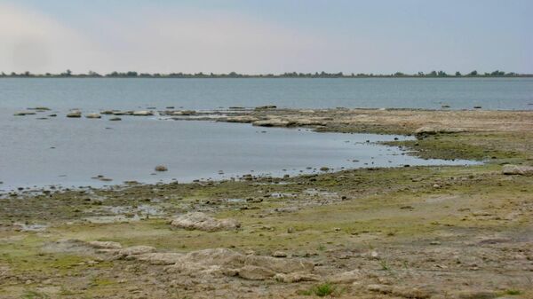 В Крыму ученые во время экспедиции зафиксировали усыхание гиперсоленых озер