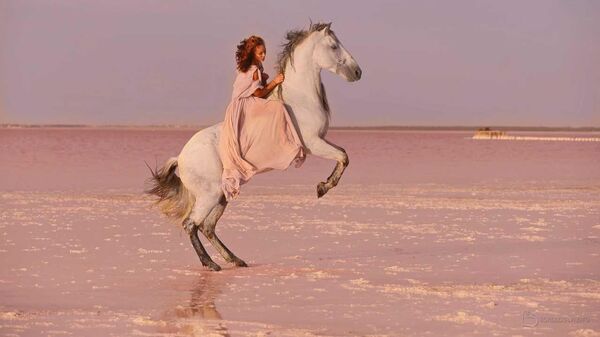 Инна с Блеком на розовом озере Сасык-Сиваш, Крым, Сакский район Инна с Блеком на розовом озере Сасык-Сиваш, Крым, Сакский район