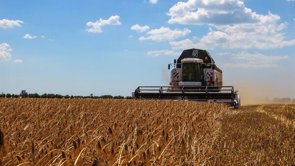 Урожай зерновых