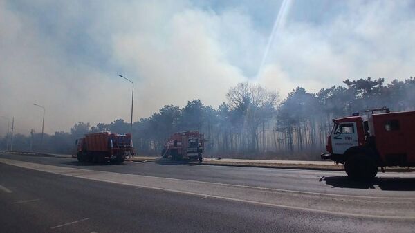 Пожар на Камышовом шоссе в Севастополе