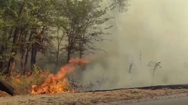 Пожар в Симферопольском районе