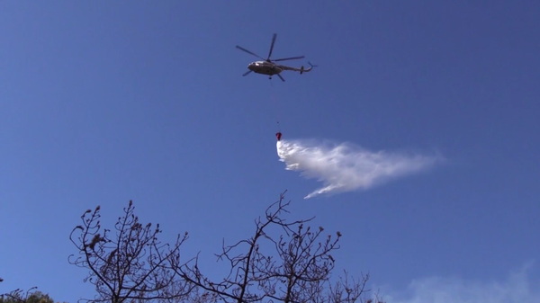 Пожар под Севастополем