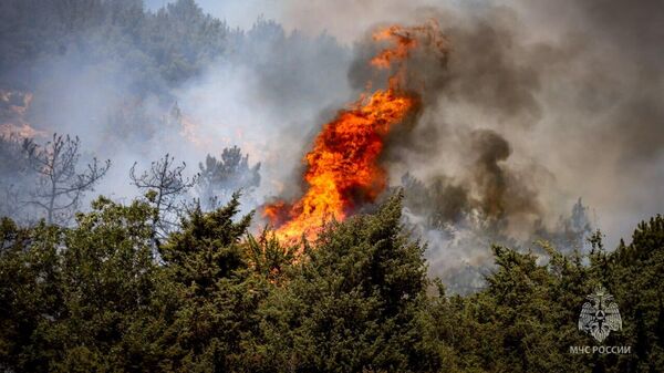 Лесной пожар Лесной пожар