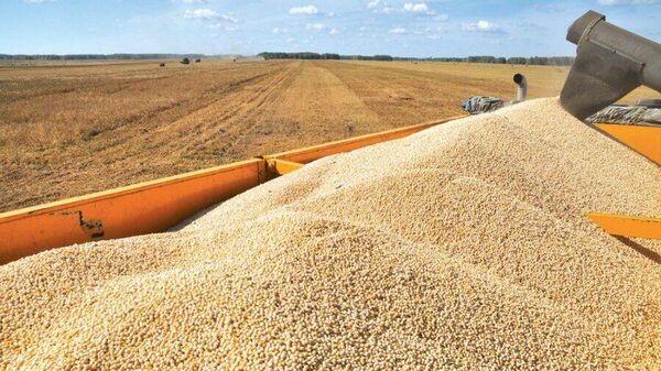 Уборка урожая