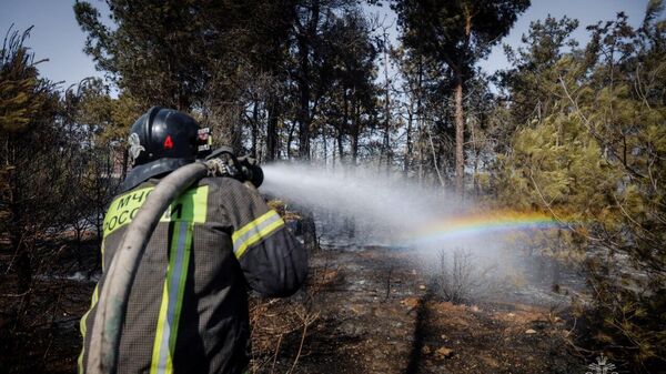 Пожарный МЧС России