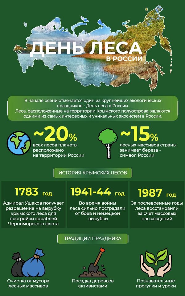 День леса в России – инфографика