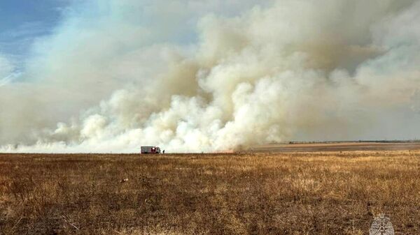 В Симферопольском районе Крыма сгорело 25 гектаров сухостоя