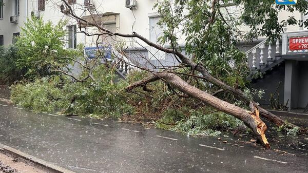 Непогода в Севастополе 18 сентября 2025 года Непогода в Севастополе 18 сентября 2025 года