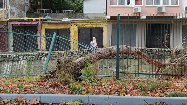Последствия непогоды в Ялте Последствия непогоды в Ялте