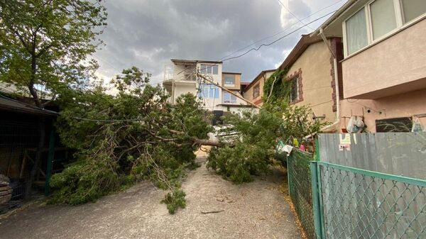 Последствия непогоды в Ялте Последствия непогоды в Ялте