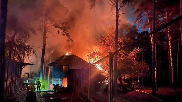 Пожар в Новосибирском зоопарке