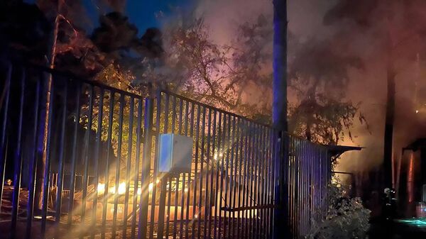 Пожар в Новосибирском зоопарке