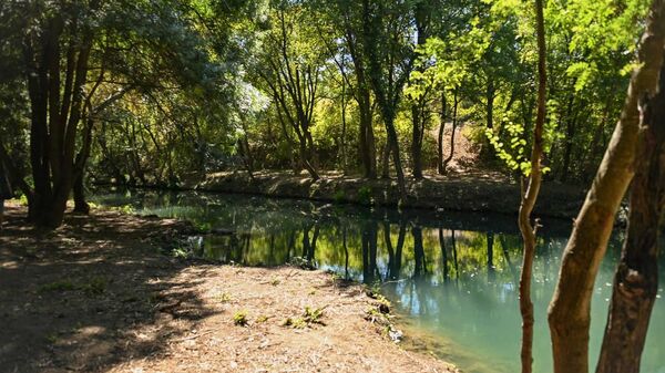 В Севастополе завершили расчистку реки Черной и ее притоков