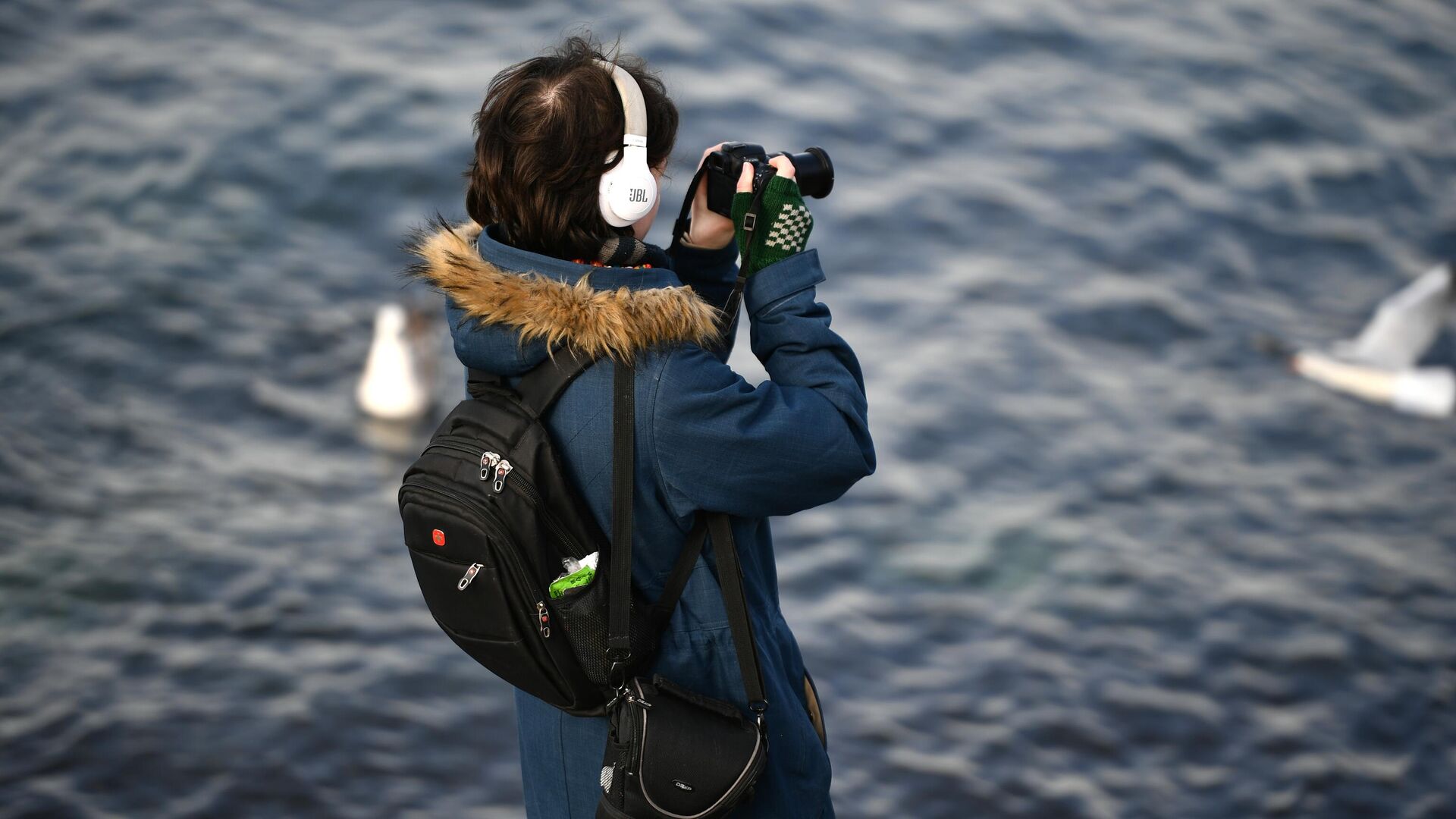 Города России. Севастополь - РИА Новости, 1920, 29.10.2025