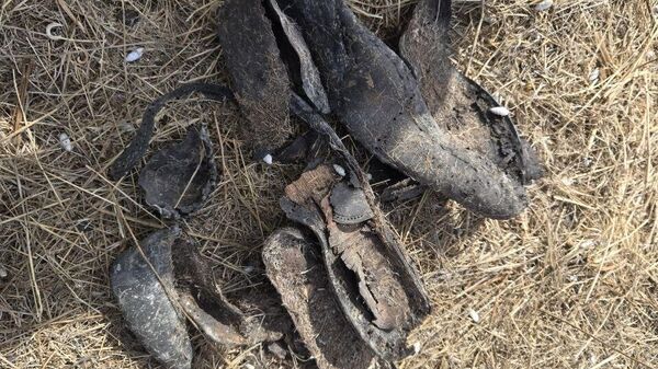 Поисковики нашли новые расстрельные рвы нацистов в Бахчисарае