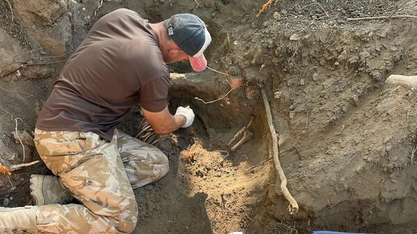 В Керчи поисковики установили еще одно имя найденного бойца Красной армии