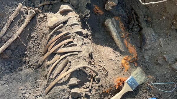 В Керчи поисковики установили еще одно имя найденного бойца Красной армии