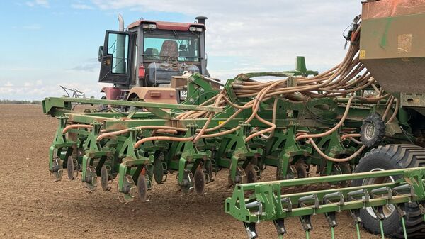 Сев озимых зерновых в Крыму