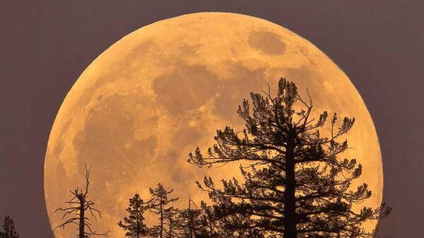 Суперлуние Суперлуние