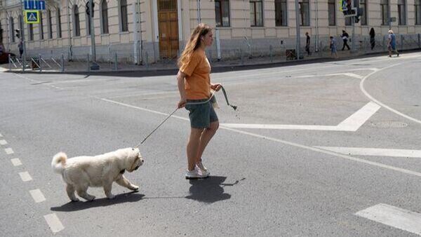 Крымчане поделились мнением ,как подтолкнуть людей более ответственно относиться к домашним животным