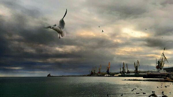 Феодосия. 14 октября 2025 года